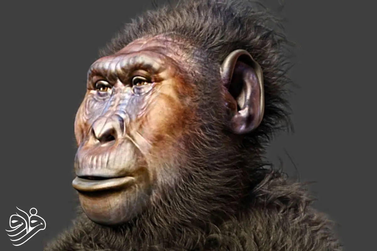 دست های شگفت انگیز با ویژگی های گوریل و انسان را کشف کنید! 1 دست های شگفت انگیز با ویژگی های گوریل و انسان را کشف کنید!