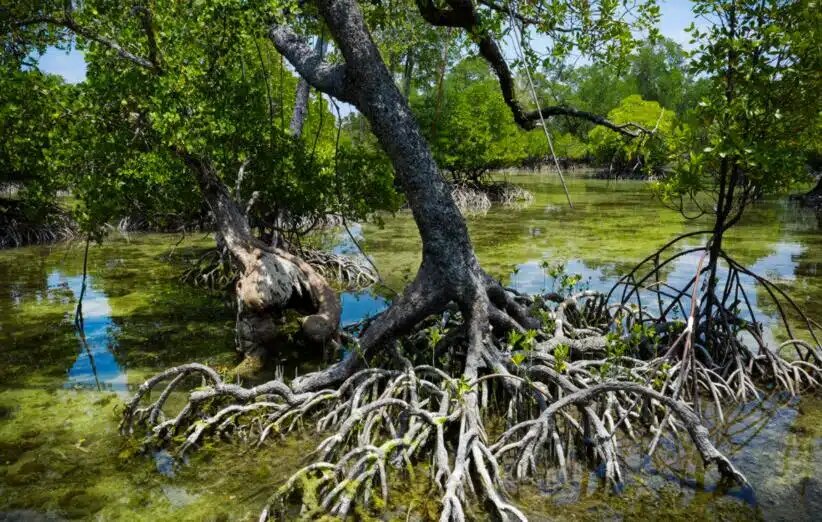 رکورد «جهانی» سه روستای ایران در سال 2025 / این روستاها کجا هستند؟ 7 در سال 2025 سه روستای ایران از حرا تا البرز