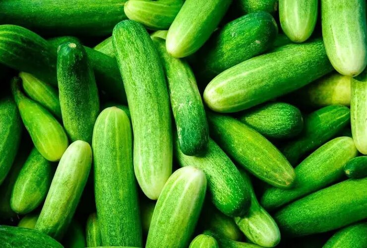 5 ماده غذایی که بهترین ترکیب را با خیار می کنند 19 5 ماده غذایی که بهترین ترکیب را با خیار می کنند