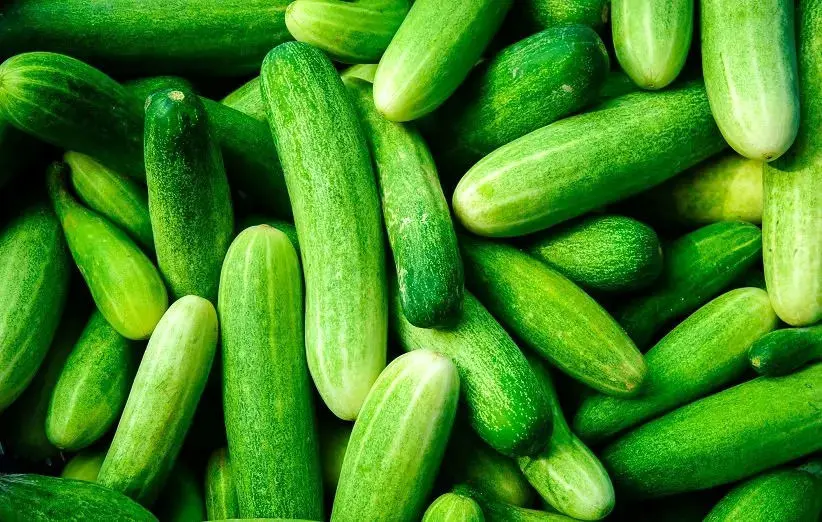 5 ماده غذایی که بهترین ترکیب را با خیار می کنند