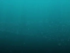 آزمایش موفقیت آمیز اژدر فوق هسته ای روسیه 16 آزمایش موفقیت آمیز اژدر فوق هسته ای روسیه