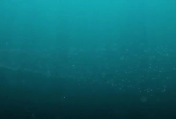 آزمایش موفقیت آمیز اژدر فوق هسته ای روسیه 39 آزمایش موفقیت آمیز اژدر فوق هسته ای روسیه