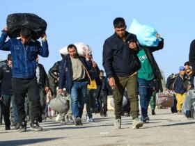 آمار مربوط به حمله غیرقانونی شهروندان غیرقانونی/ چهل هزار نفر فقط از یک مرز هستند!