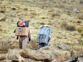 آنها چه می کنند ، آنها چه می کنند و چه اتفاقی برای زندگی آنها می افتد؟