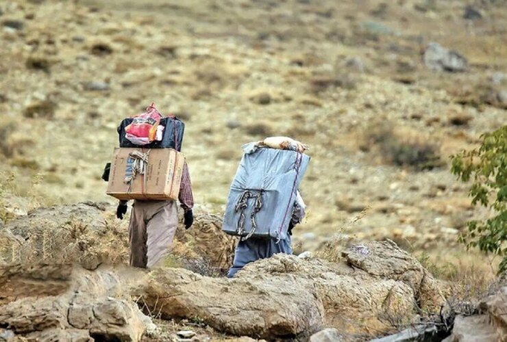 آنها چه می کنند ، آنها چه می کنند و چه اتفاقی برای زندگی آنها می افتد؟