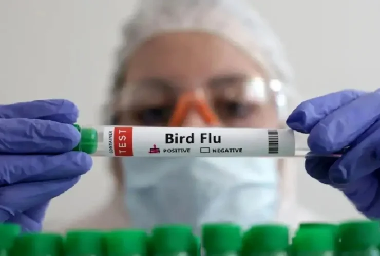 آیا شیوع آنفولانزای پرنده در ایران تأیید شده است؟ 28 آیا شیوع آنفولانزای پرنده در ایران تأیید شده است؟