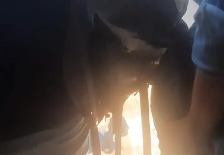 اختلال در مترو؛ مسافران درهای اضطراری را شکستند و وارد ریل شدند