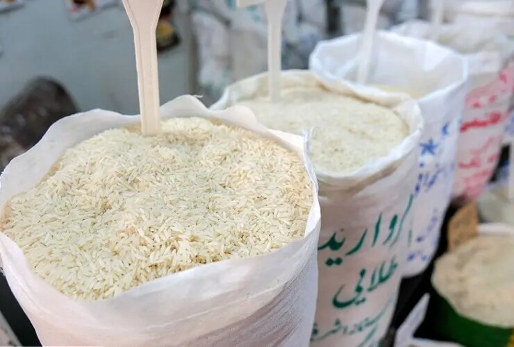 افزایش قیمت برنج و لوبیا در بازار