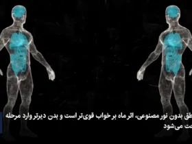 افسانه قدیمی به حقیقت پیوست. آیا ماه واقعاً بر خواب تأثیر می گذارد؟ 8 افسانه قدیمی به حقیقت پیوست. آیا ماه واقعاً بر خواب تأثیر می گذارد؟