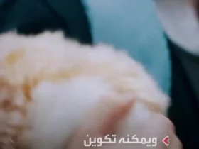 برای دیدن مافلا ؛ "حیوان خانگی آینده" با 2 میلیون شخصیت مختلف