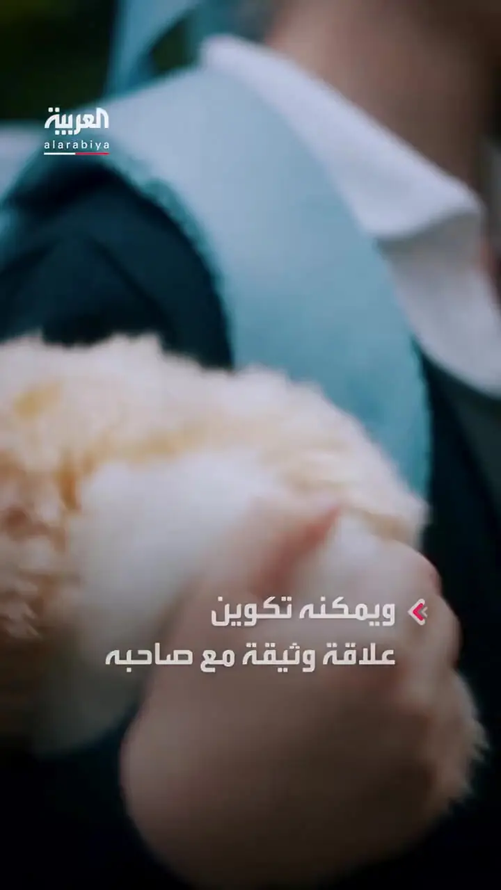 برای دیدن مافلا ؛ "حیوان خانگی آینده" با 2 میلیون شخصیت مختلف
