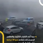 برای دیدن؛ بدترین تصادف رانندگی در تاریخ فنلاند