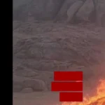 برای دیدن؛ بیش از 2 هزار کیلو موی زنان به دستور رهبر طالبان سوزانده شد