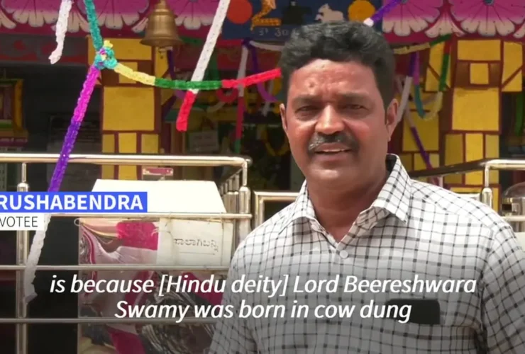 برای دیدن؛ جشنواره گاوبازی در هند