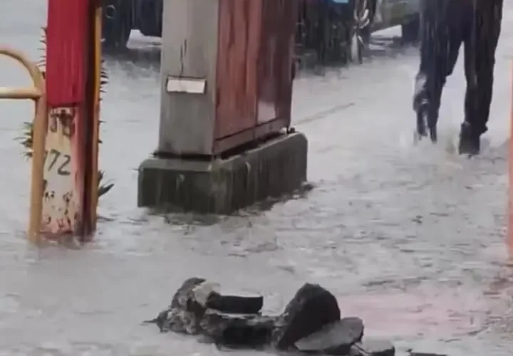 برای دیدن؛ راکون گیر افتاده در خیابان سیل زده را نجات دهید 15 برای دیدن؛ راکون گیر افتاده در خیابان سیل زده را نجات دهید