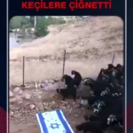 برای دیدن؛ پرچم اسرائیل توسط گوسفندان لگدمال شد!