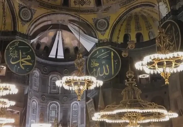 برای دیدن؛ یک گربه و منظره باشکوه مسجد ایاصوفیه 22 برای دیدن؛ یک گربه و منظره باشکوه مسجد ایاصوفیه