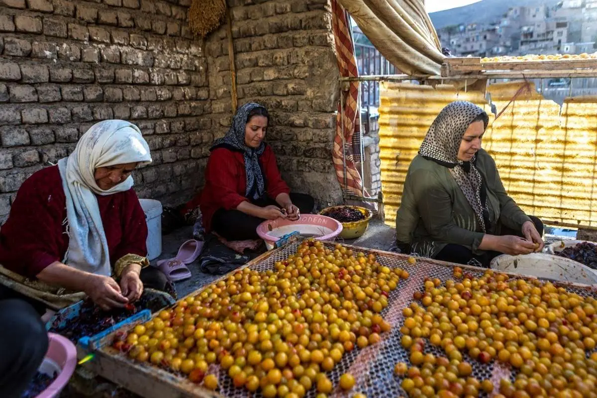 تصاویر پایتخت ایران کجاست؟ 4 تصاویر پایتخت ایران کجاست؟