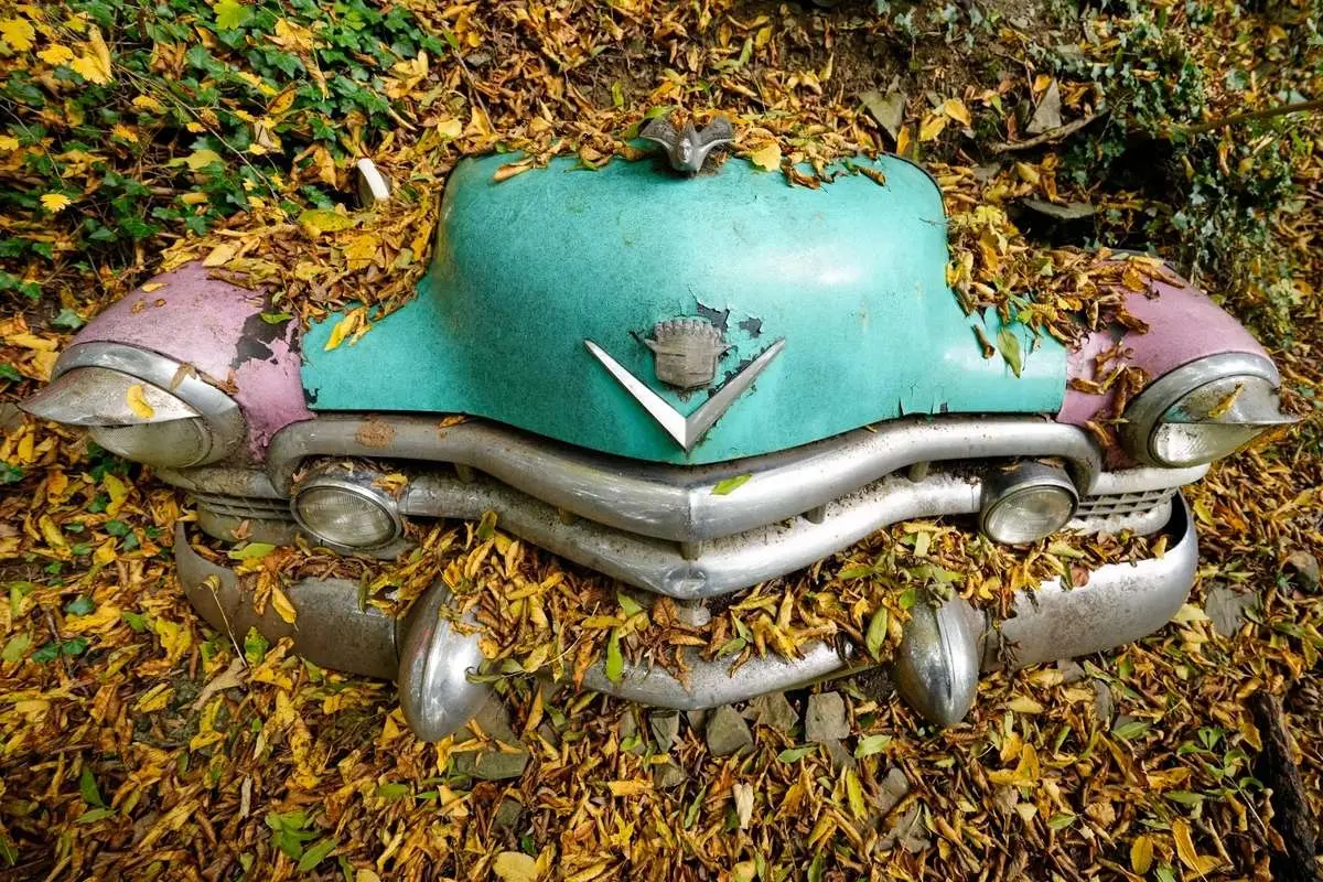 تصاویر; گورستان خودروهای کلاسیک در آلمان غربی 4 تصاویر; گورستان خودروهای کلاسیک در آلمان غربی