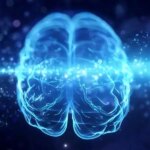 تمرینات ذهنی ممکن است پیری مغز را تا 10 سال معکوس کند
