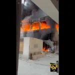 جزئیات مجتمع تجاری در QESHM