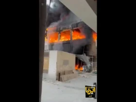 جزئیات مجتمع تجاری در QESHM