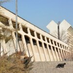 حادثه قطع درخت موزه فرش/ عصبانیت مدیر موزه از منتقدان