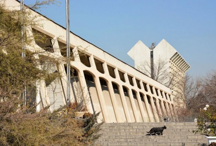 حادثه قطع درخت موزه فرش/ عصبانیت مدیر موزه از منتقدان 18 حادثه قطع درخت موزه فرش/ عصبانیت مدیر موزه از منتقدان