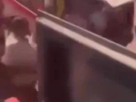 حمله مسلحانه به اتوبوس مسافربری در جاده دمشق - سویده 9 حمله مسلحانه به اتوبوس مسافربری در جاده دمشق - سویده