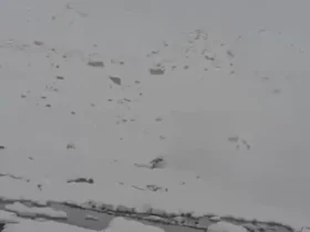 سقوط هلیکوپتر در قله های برفی اورست 9 سقوط هلیکوپتر در قله های برفی اورست