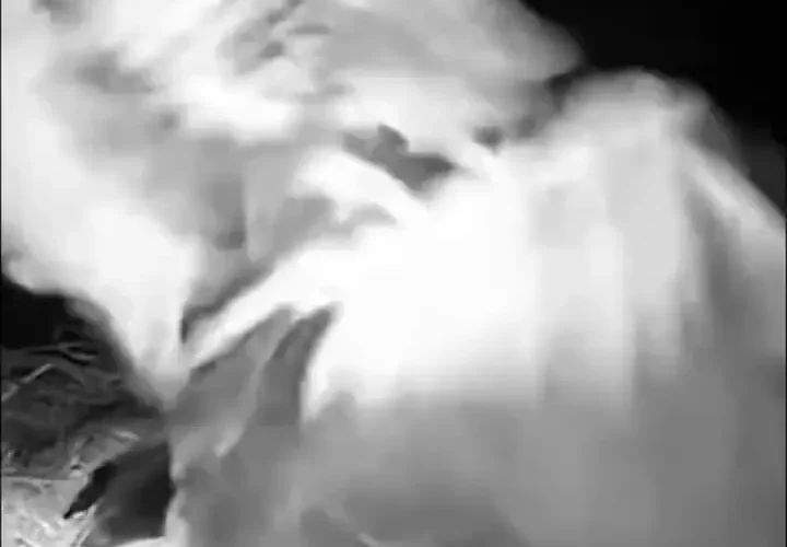 شکار شب ؛ اوراسیا şahbov در تاریکی مطلق ربوده شد 16 شکار شب ؛ اوراسیا şahbov در تاریکی مطلق ربوده شد