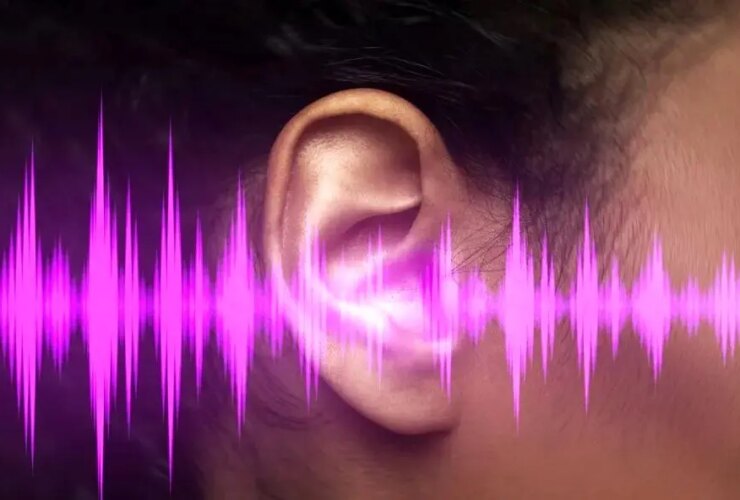 صدای هوش مصنوعی دیگر با صدای انسان متمایز نیست! 19 صدای هوش مصنوعی دیگر با صدای انسان متمایز نیست!