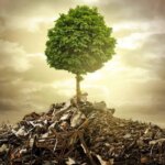 قربانیان بی دفاع بحران محیط زیست