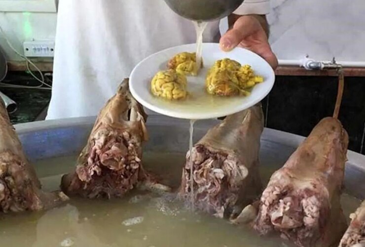 قیمت کله پاچه 1 میلیون و 100 هزار تومان بود 15 قیمت کله پاچه 1 میلیون و 100 هزار تومان بود