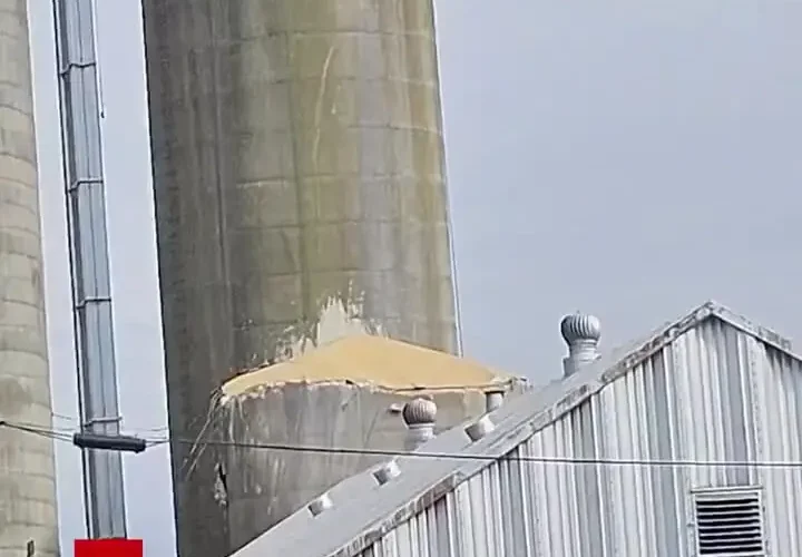 لحظه وحشتناکی که یک سیلو غلات عظیم در ایلینویز فرو ریخت 28 لحظه وحشتناکی که یک سیلو غلات عظیم در ایلینویز فرو ریخت