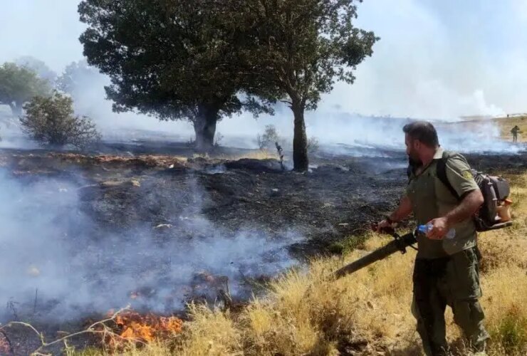 محدوده جنگل آتش نشانی 25 محدوده جنگل آتش نشانی