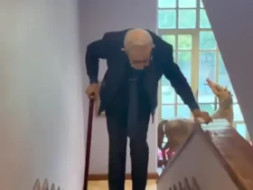 مراسم بزرگداشت «ناصر تقوایی» در خانه سینما