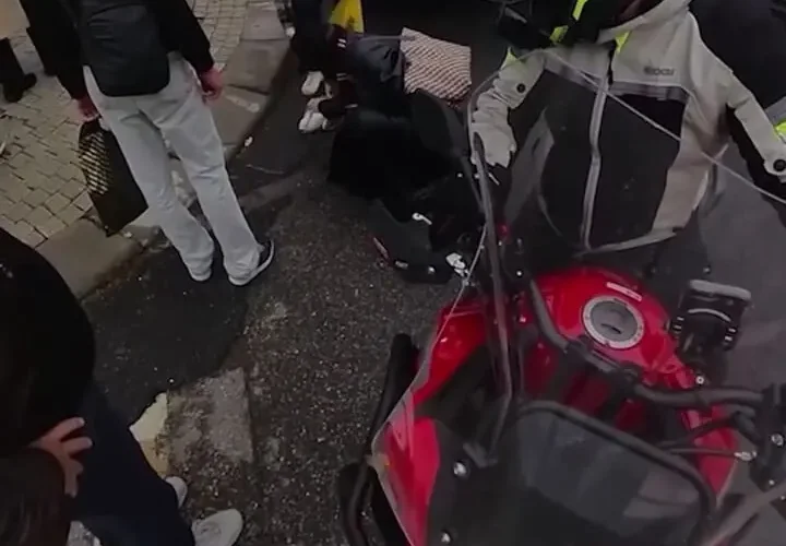 مرغ دریایی به اسلحه های متحرک و اتوبوس برخورد کرد 30 مرغ دریایی به اسلحه های متحرک و اتوبوس برخورد کرد