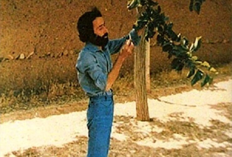 من به دنبال چیزی بودم: شاید بخواب 26 من به دنبال چیزی بودم: شاید بخواب