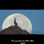 منظره باشکوه از بز و ماه در نزدیکی Khormoj