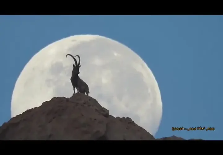 منظره باشکوه از کوه و ماه در نزدیکی خرموج