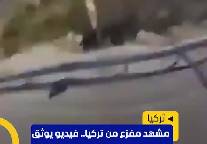 موتورسوار مرگ دلخراشی را ثبت کرد