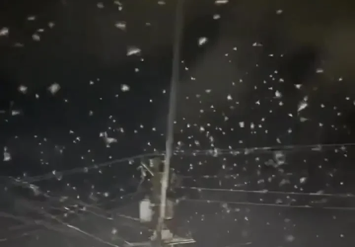 نمای باشکوه پس از زلزله فیلیپین ؛ هزاران پرنده همزمان به آسمان پرواز کردند 24 نمای باشکوه پس از زلزله فیلیپین ؛ هزاران پرنده همزمان به آسمان پرواز کردند