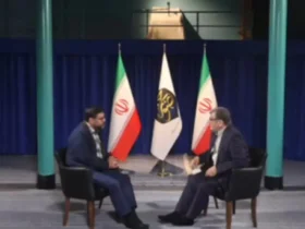 نماینده مجلس: به چشم قالیبافان و پزشکان نگاه می کنند و می گویند دروغ می گویند!