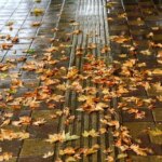 پاییز عجیب امسال در ایران