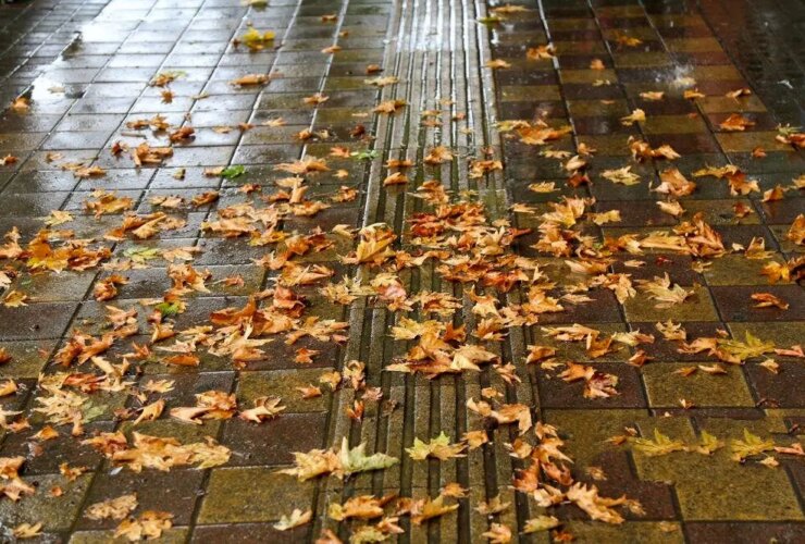 پاییز عجیب امسال در ایران 38 پاییز عجیب امسال در ایران