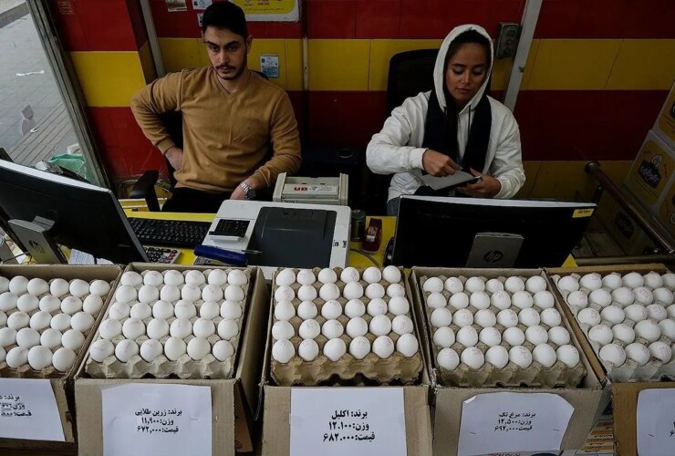 پرواز انبوه قیمت ها در بازار مواد غذایی 16 پرواز انبوه قیمت ها در بازار مواد غذایی