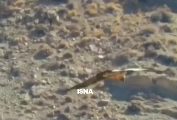 پرواز دیدنی «هما» بر فراز آسمان سمنان 15 پرواز دیدنی «هما» بر فراز آسمان سمنان