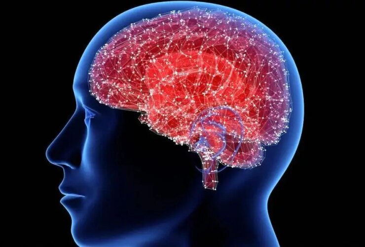 کشف مولکولی که شما را در مغز نازک تر می کند! 32 کشف مولکولی که شما را در مغز نازک تر می کند!