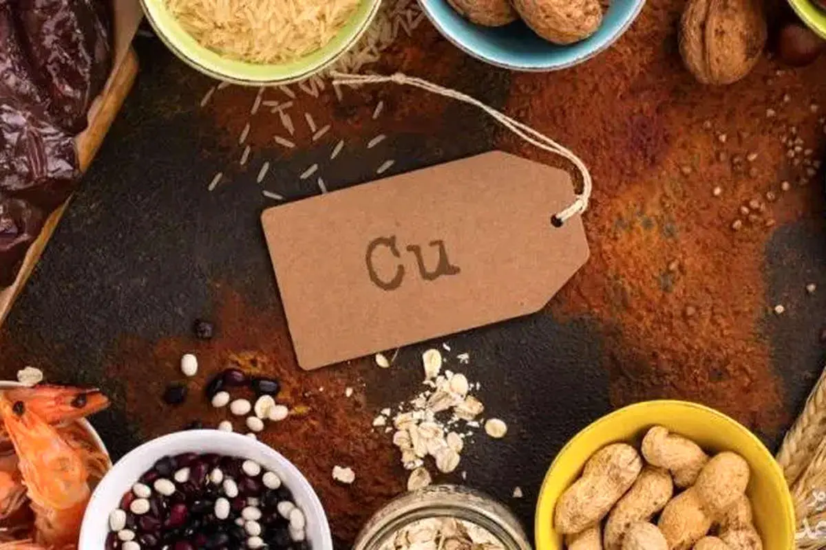 کپی کردن 4 کپی کردن